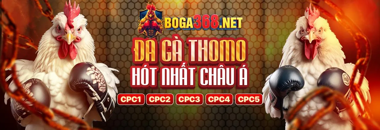 Ứng dụng TA88 Nhà cái trên điện thoại